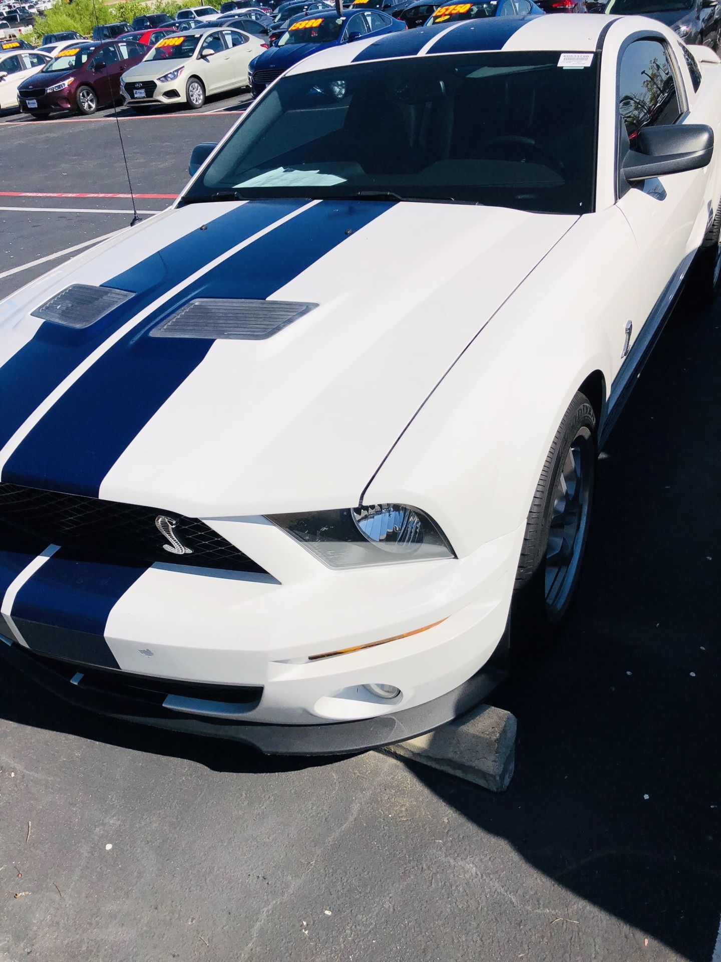 2007 Ford Shelby Gt500