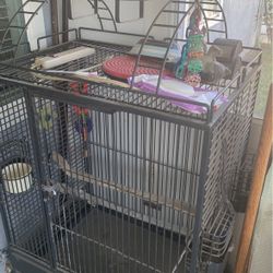 Large Bird Cage 