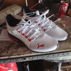 Puma