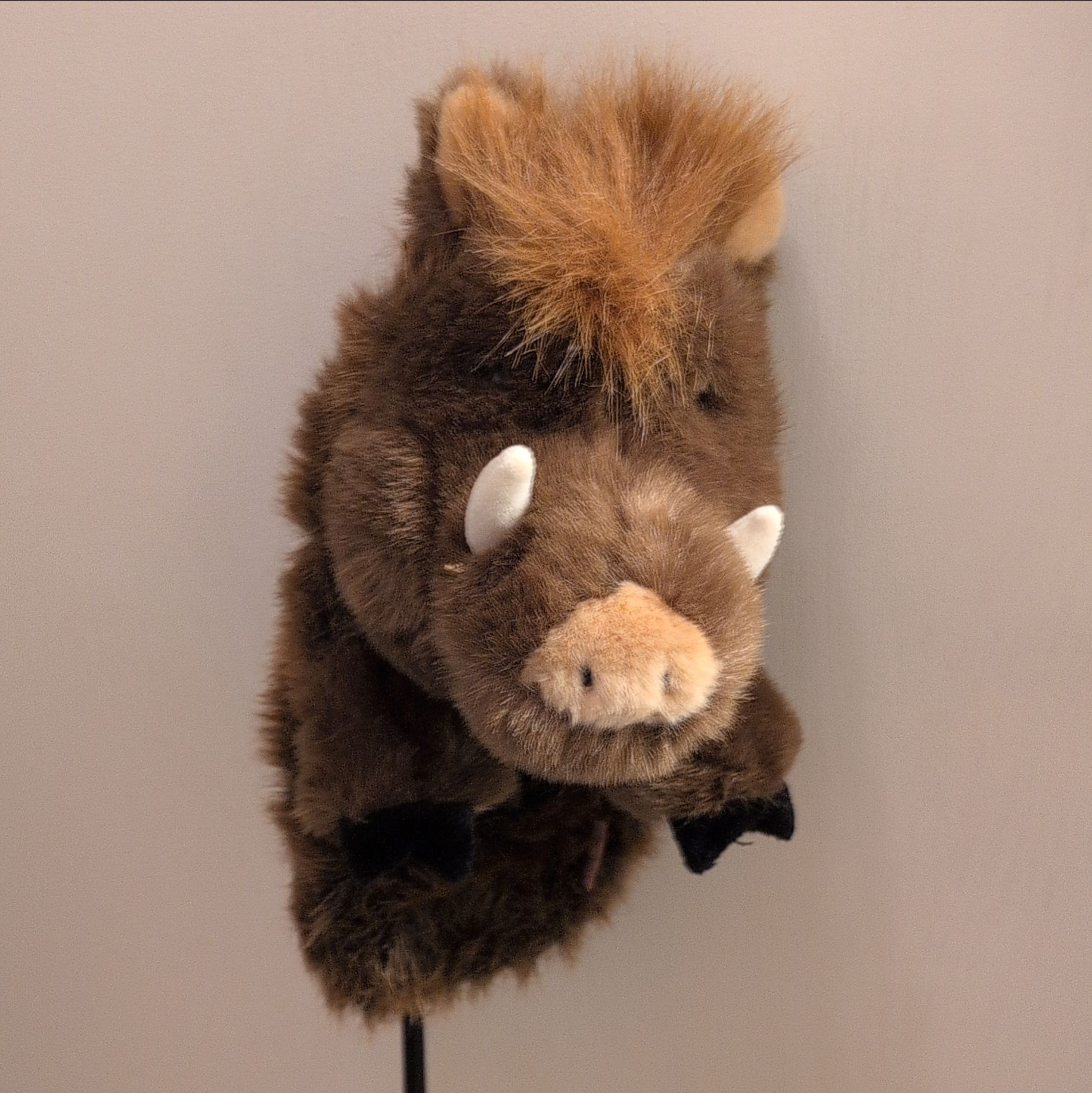 Boar Driver Headcover