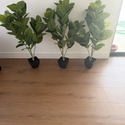 Decorativ Trees (new)