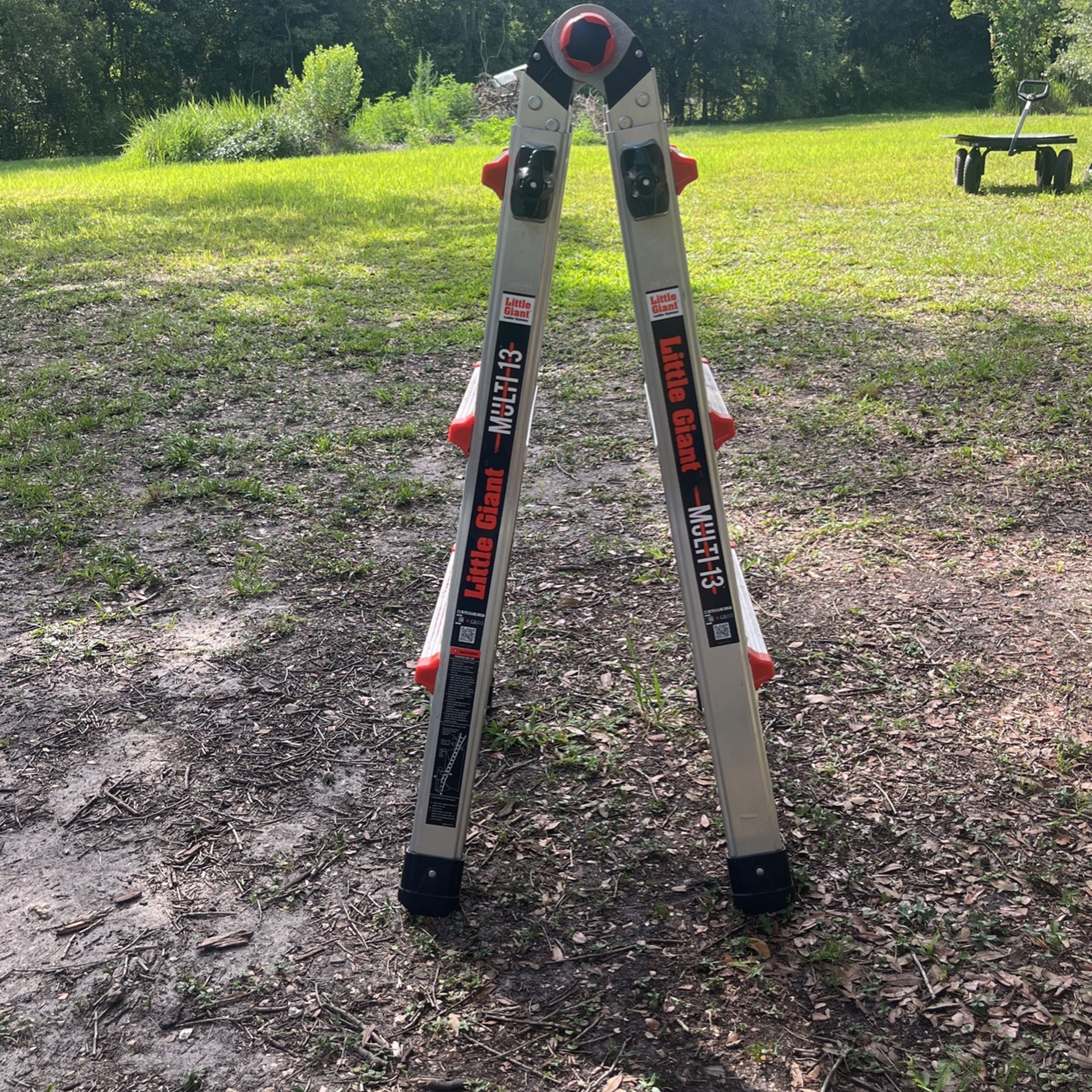 ladder