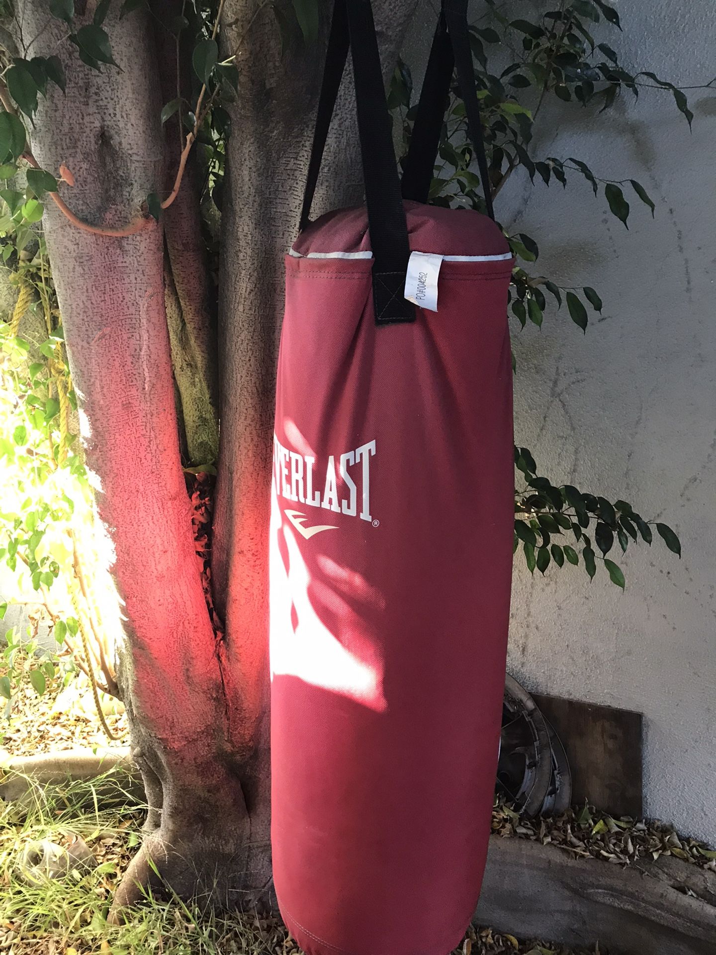 Everlast Punching Bag