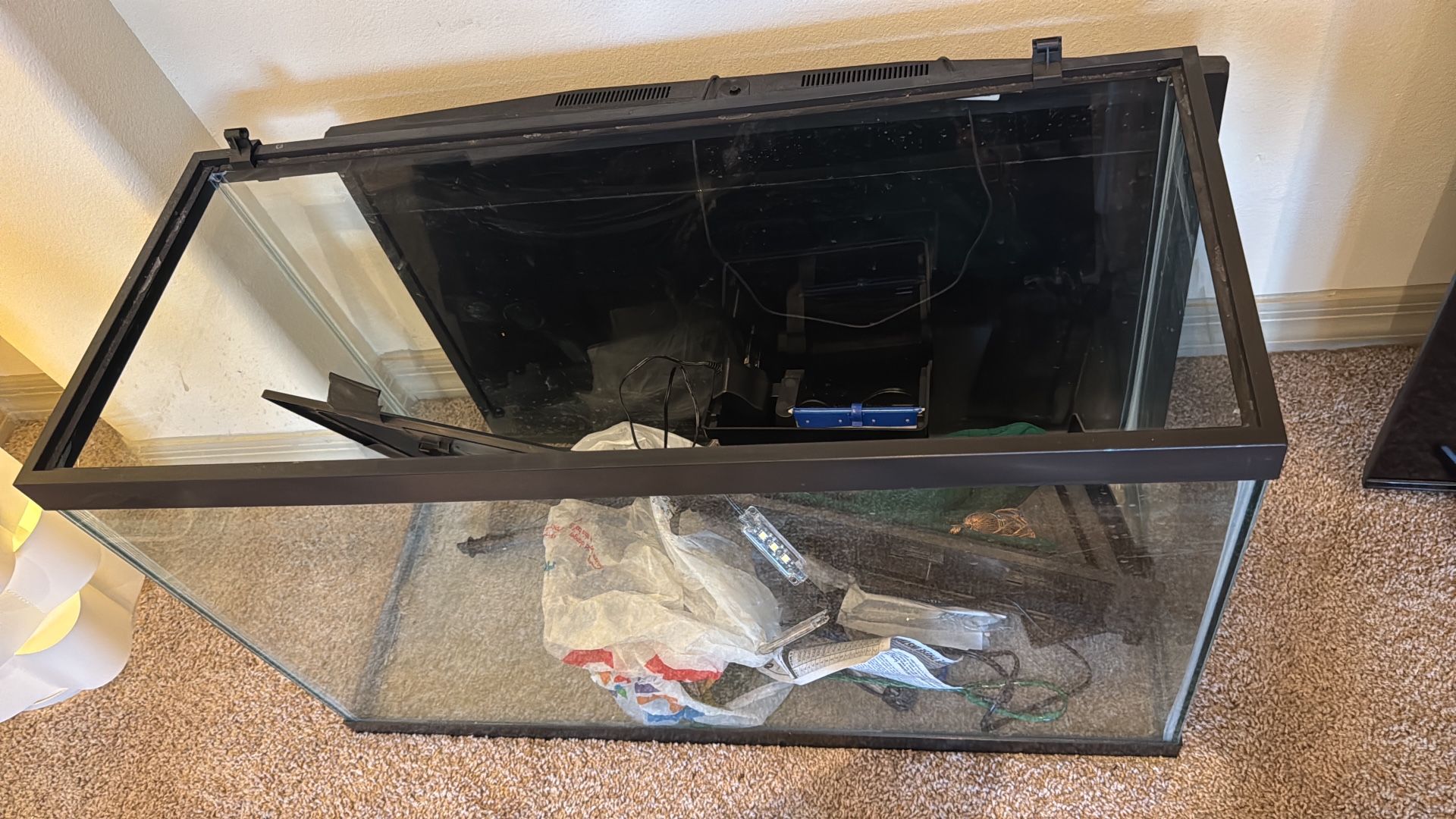 Full Aquarium Setup
