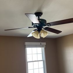 Fan Used