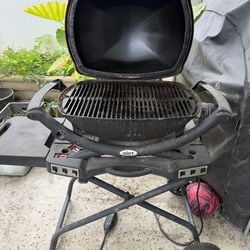 Electric Weber Bbq