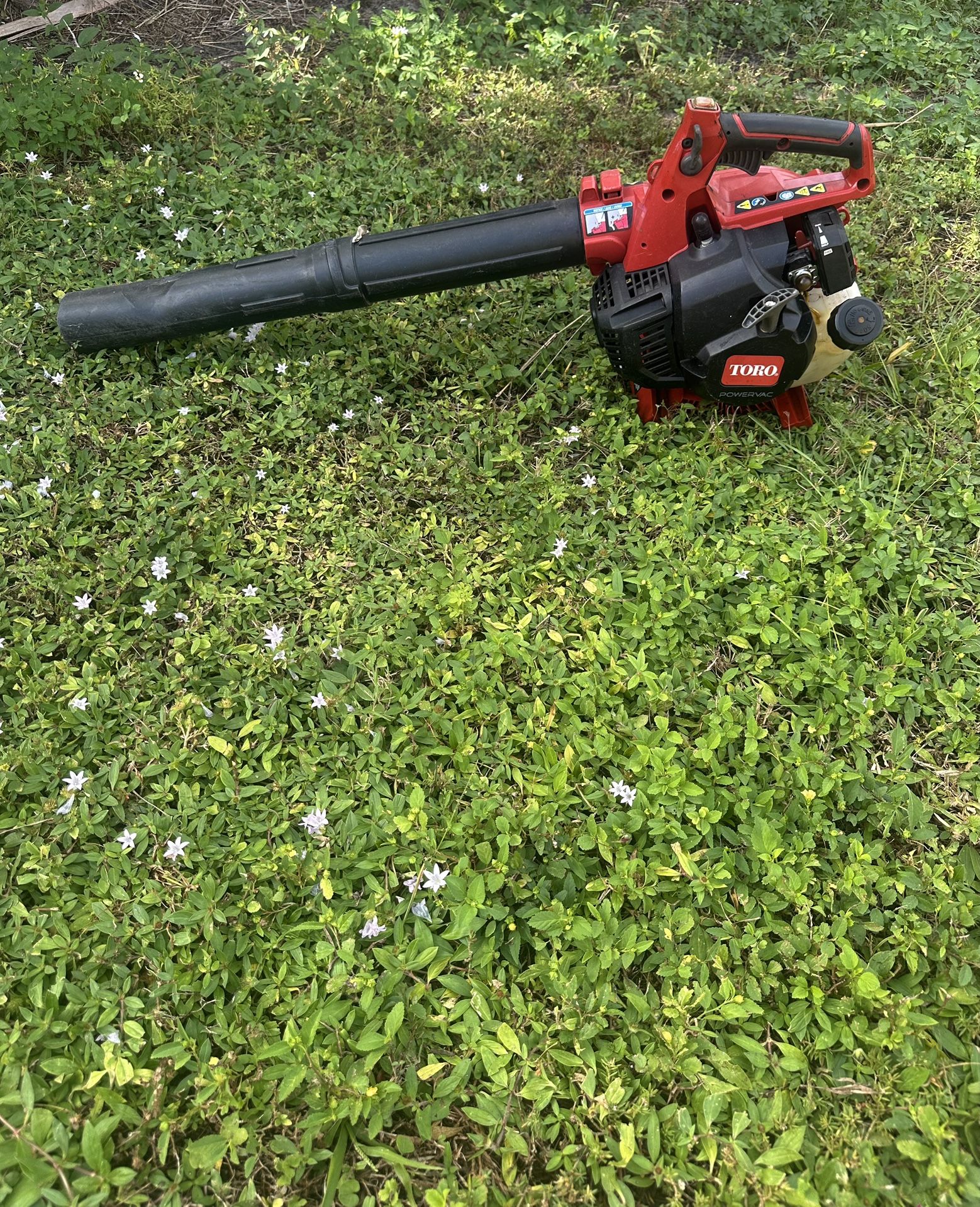 Leaf Blower Needs Work
