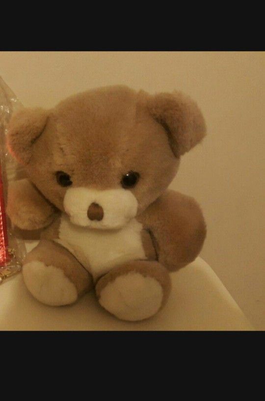 Teddy Bear Plush Doll w Free Gift OBO