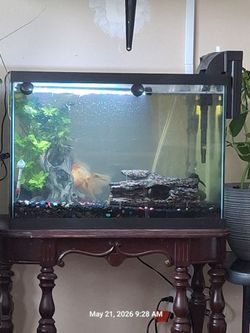 Fully equipped 20-gallon aquarium setup.