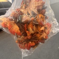 Thanksgiving / fall Decorations Pumpkin Leaves