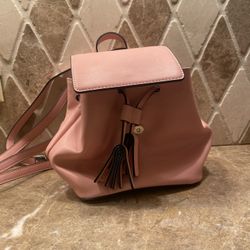 Pink Small Backpack 