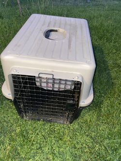 Pet Carrier 