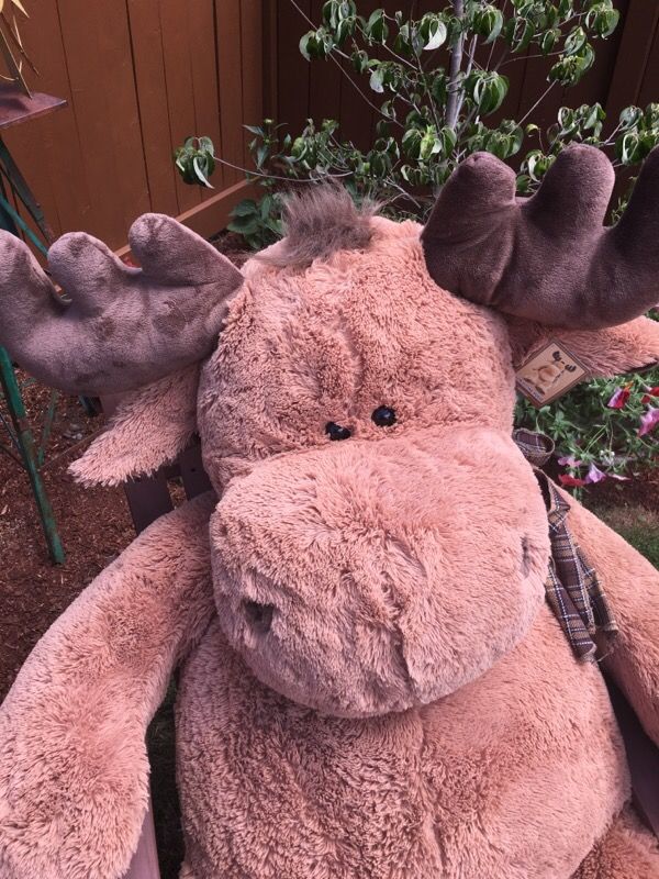 Giant stuffed moose best sale costco