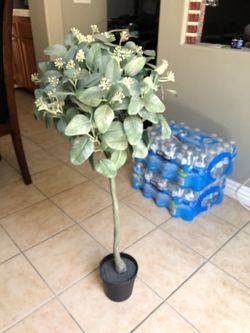 Fake Plant