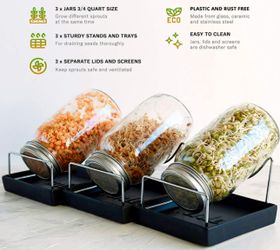 Brand New Seed Sprouting Jar (3 Jars)