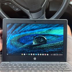 (New )4G 32GB HP Chromebook Touchscreen 14.4 Inches 