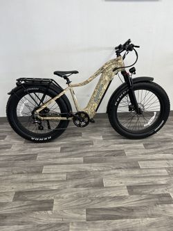 Electric Bike: Young Electric E Scout PRO