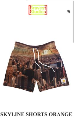 Bravest Studio Skyline Shorts Size M