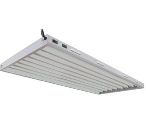 Covert 8-Bulb T5 Lights