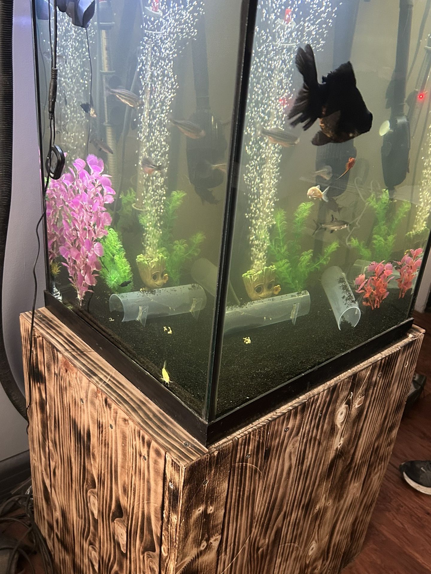 40 Gallon Tall Aquarium 
