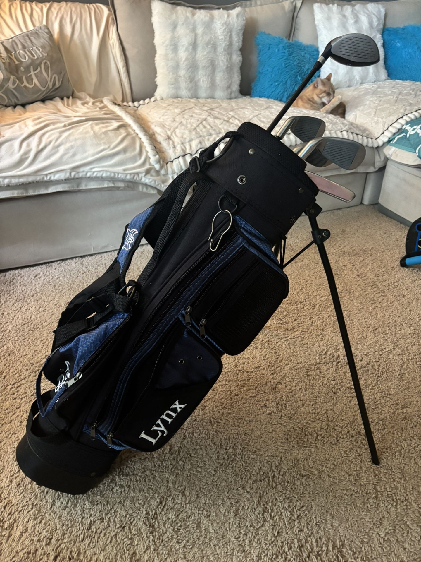 Golf Clubs And Bag