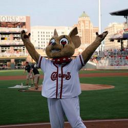 2 TIxx For Chihuahuas Game 8/10/25