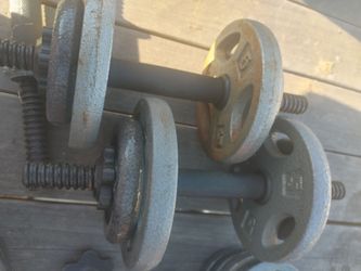 DUMB BELLS