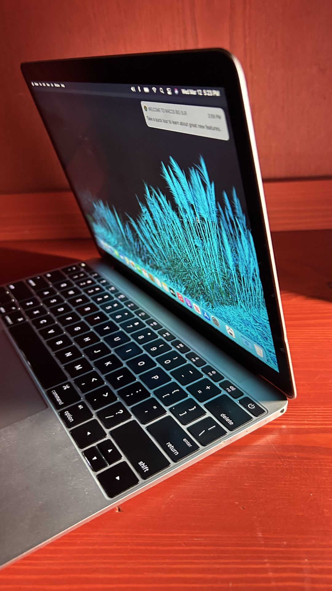 Apple MacBook 12” Retina Core M/8GB/500GB SSD $250