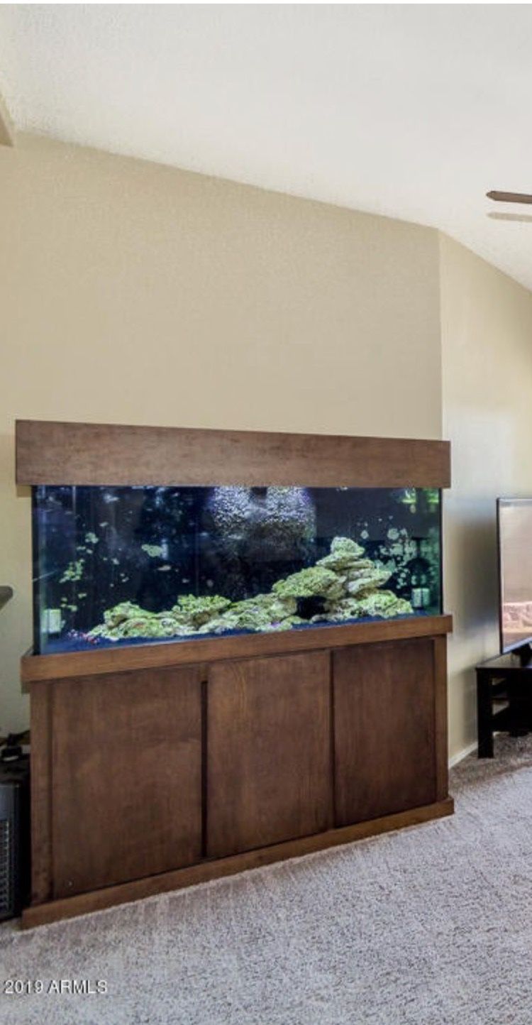 100 Gallon Reef Fish Tank