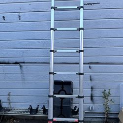 Telescoping  ladder