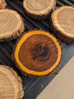 Small Mesquite Wood Rounds