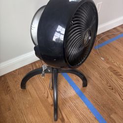 Fan - Vornado