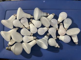 Light Bulbs / Lightbulbs / LED