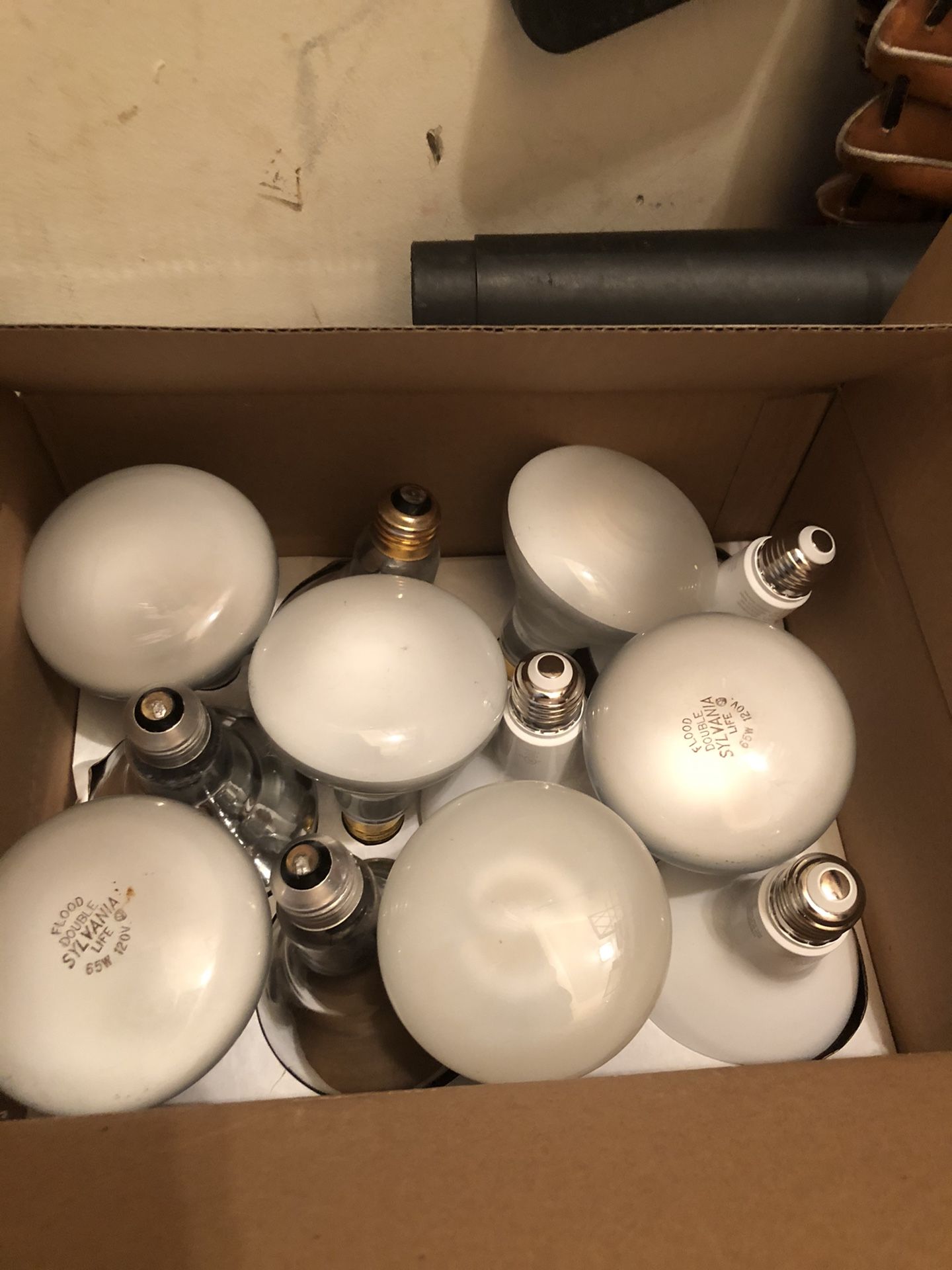 12 65 W Bulbs