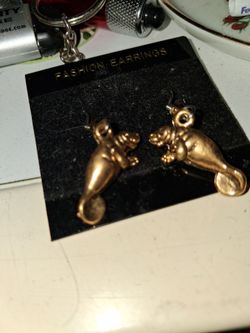 Earrings