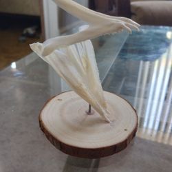 Hog Snapper Jaw Mount