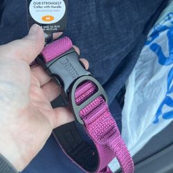 Various Kong New Dog Collars - Size Medium