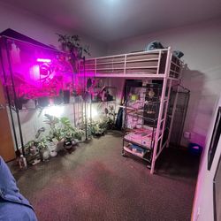 Pink Loft Bed