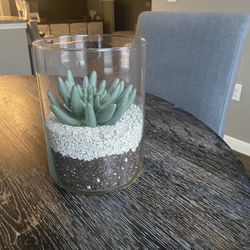 Faux Succulent Glass Vase