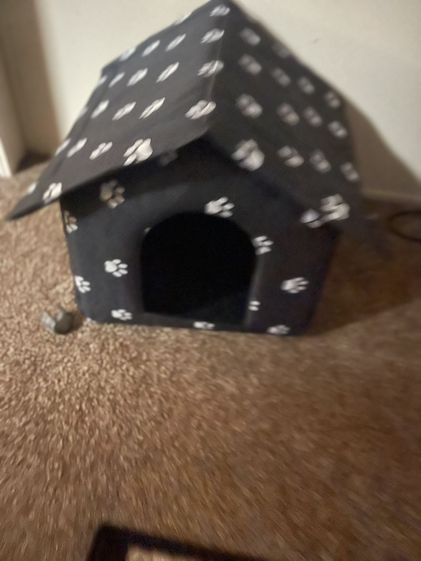 Pet House/Bef