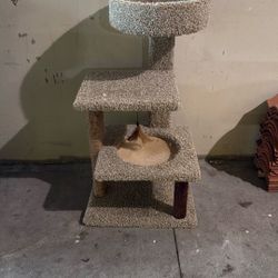 Cat Condo