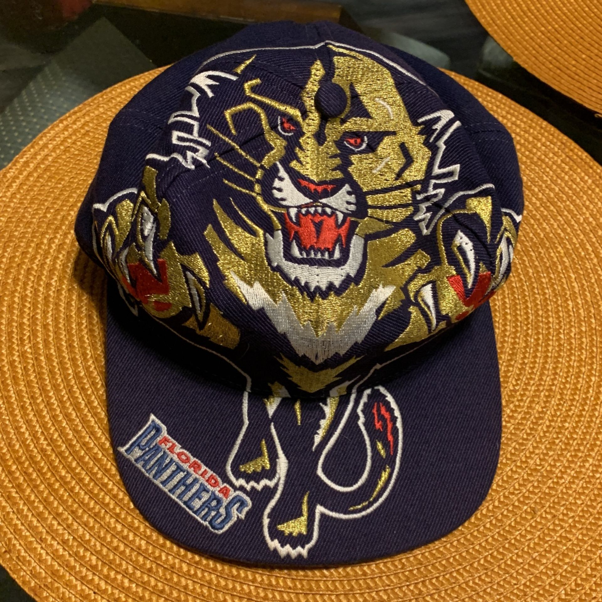 Vintage Florida Panthers Cap