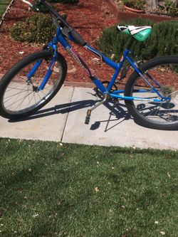 Road master single speed 24" new tires ready to ride