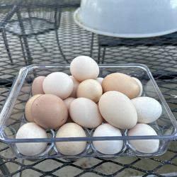 Eggs For Sale 