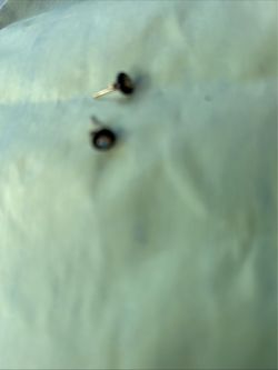 14k opal gold stud earrings