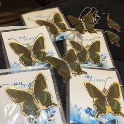 Real Butterfly Jewelry 