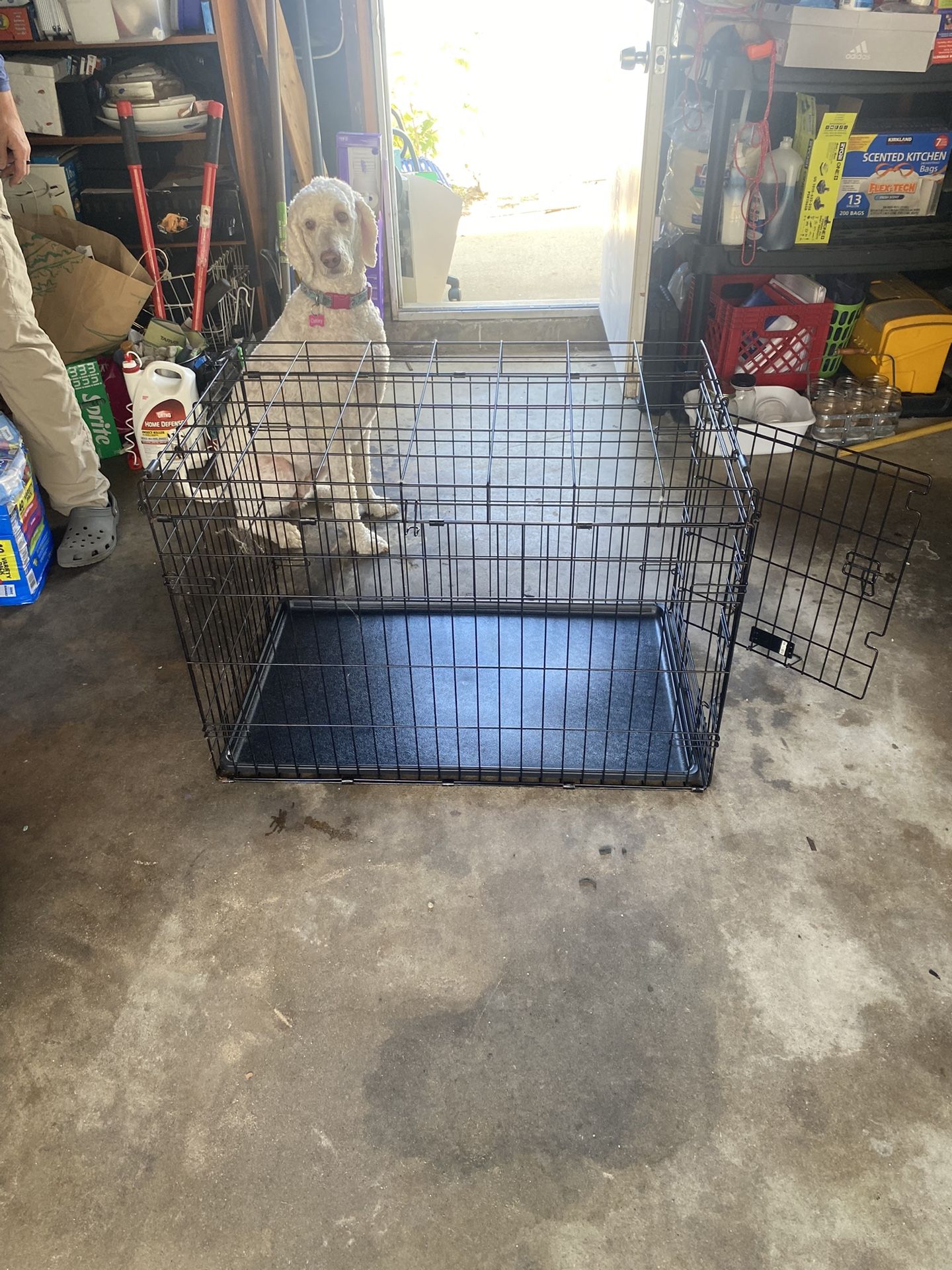 Dog Crate Kennel