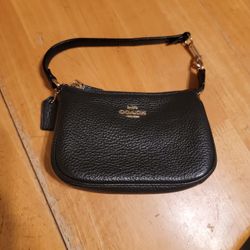 Coach Mini Clucth