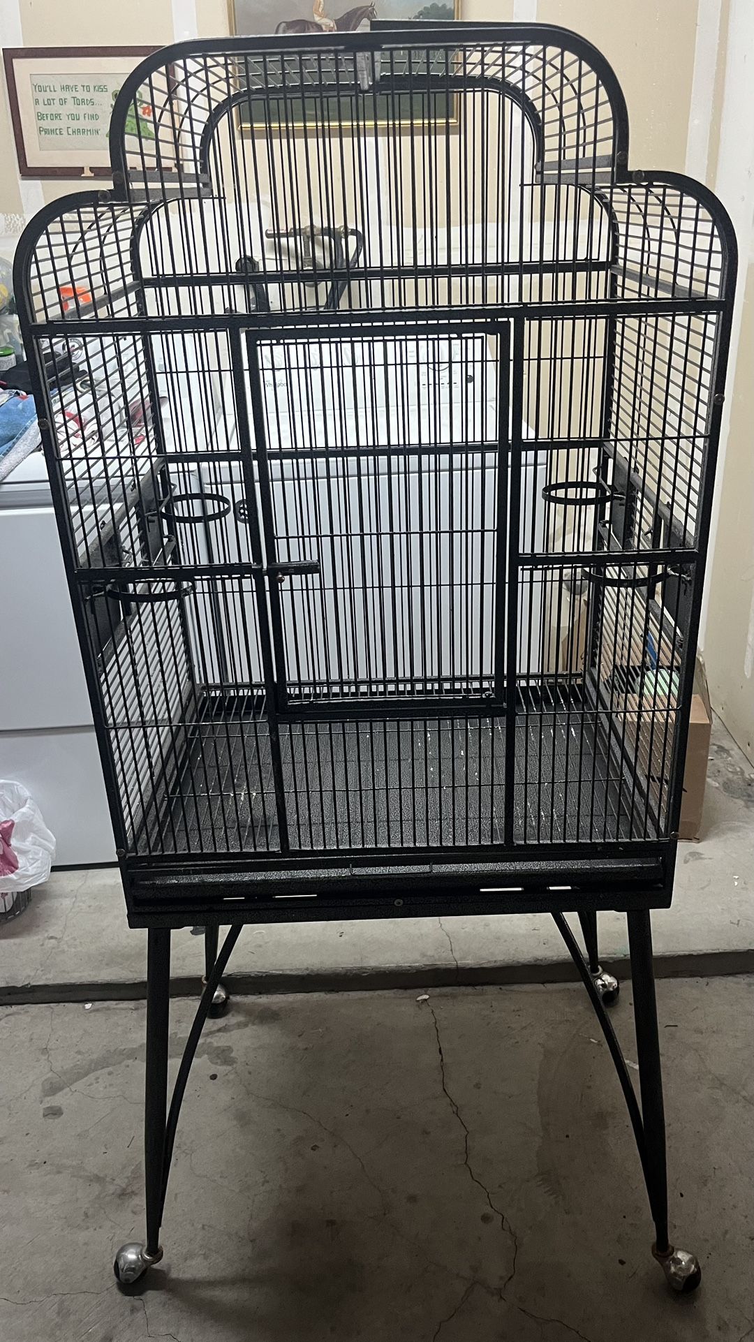 Bird Cage
