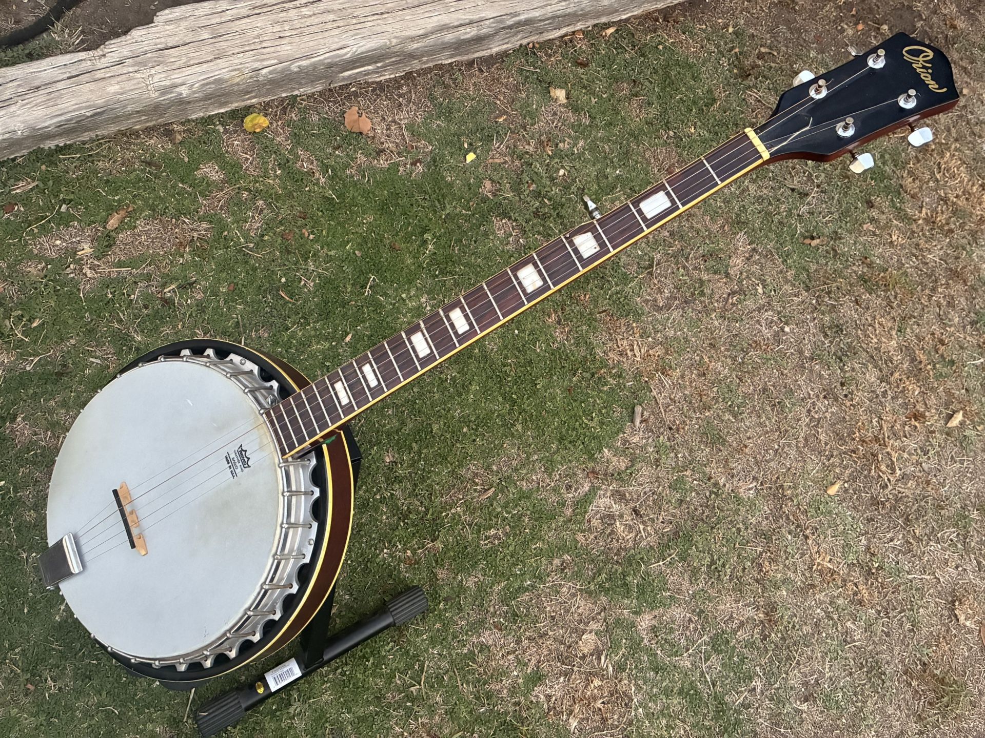 5 String Banjo 